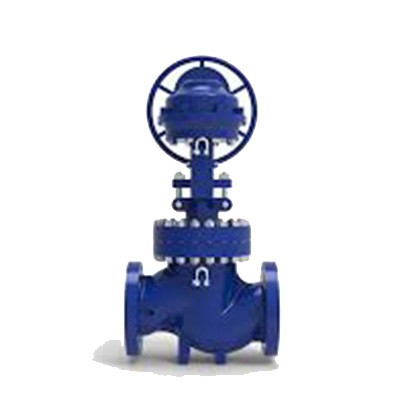 Special Material Valve