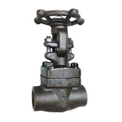Forged Steel Valves