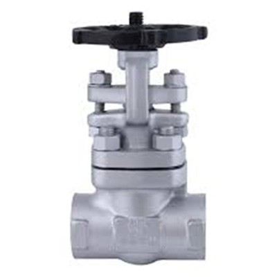Forged Steel Valves 