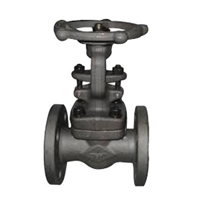 Forged Steel Valves 