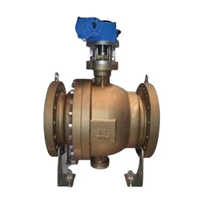 Special Material Valve