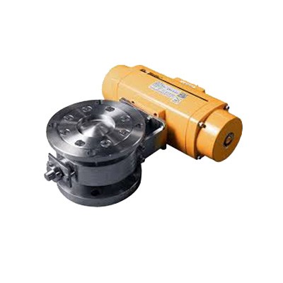 Special Material Valve