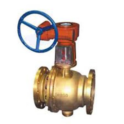 Special Material Valve