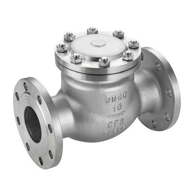 Stainless steel ANSl check valve