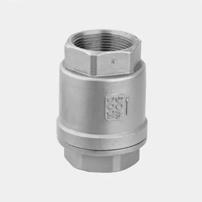 Stainless Steel Vertical Check Valve